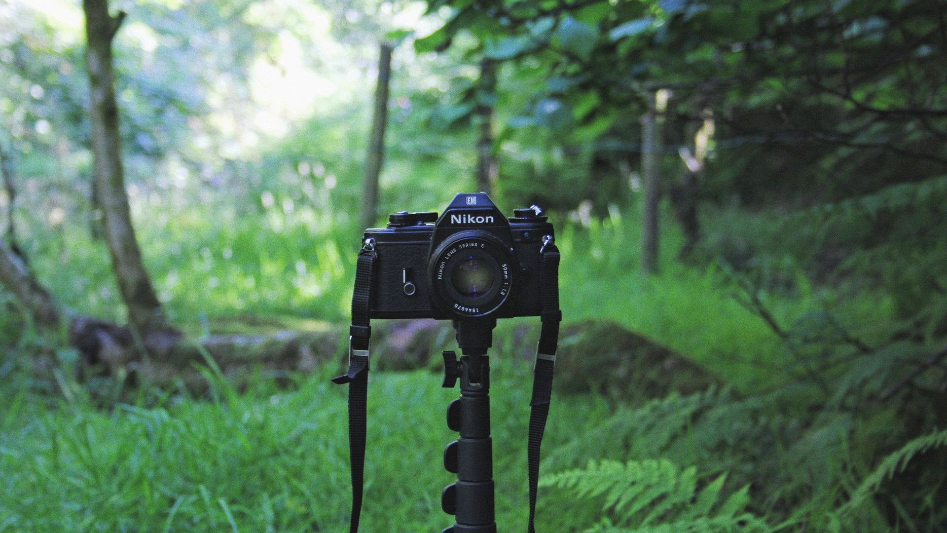 Event Photography